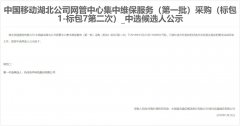 公司中标《中国移动湖北公司网管中心集中维保服务（第一批）采购（标包1-标包7第二次）》