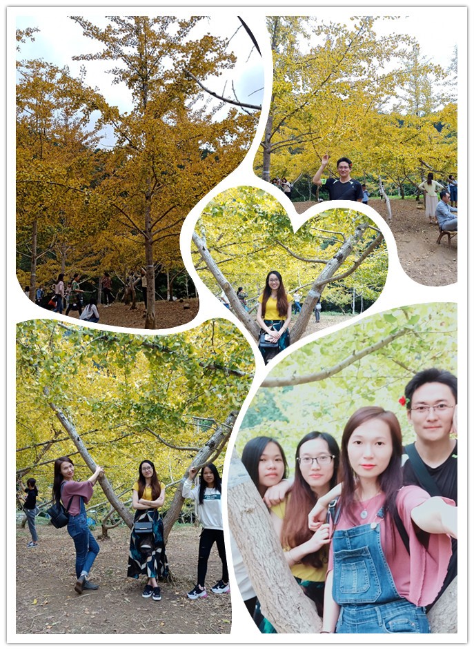 2018广州团建04.jpg